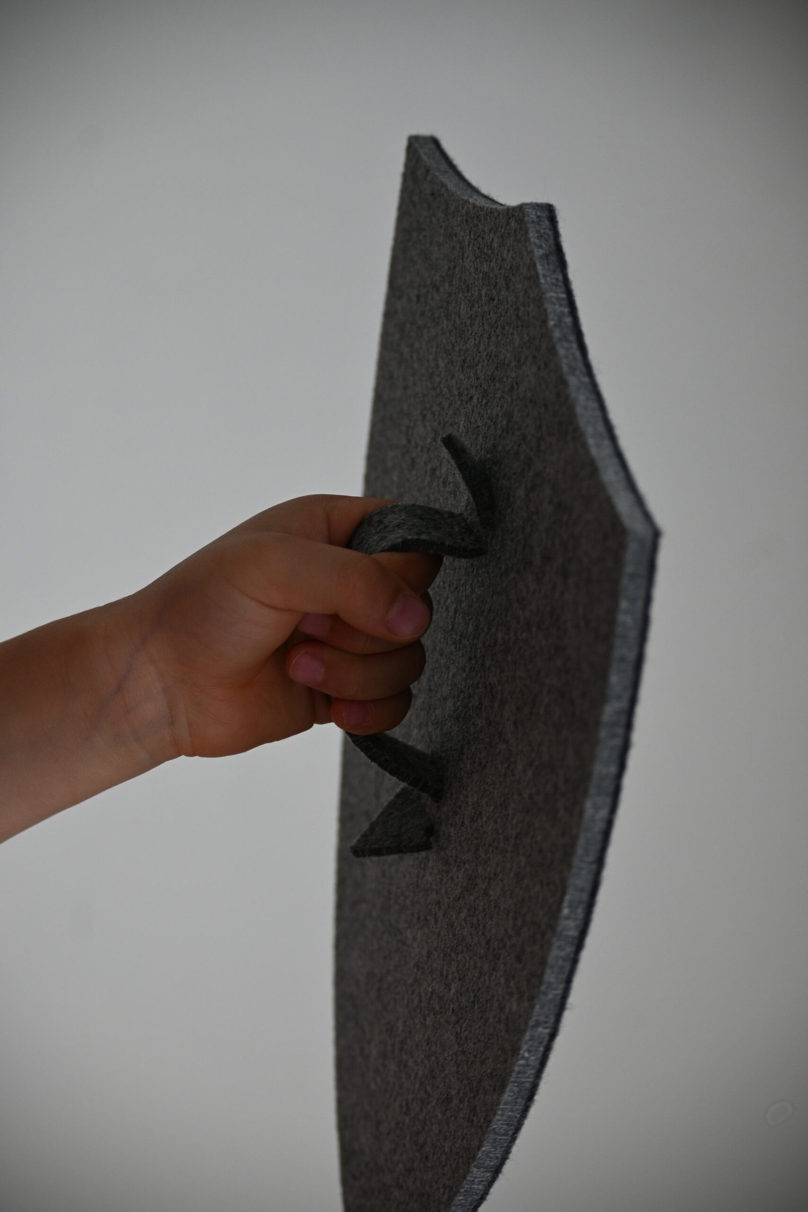 Filca bruņinieku vairogs