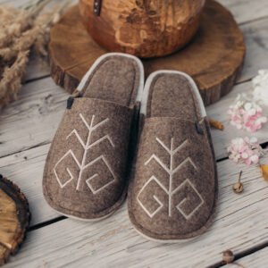 Vilnas filca čības